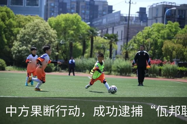 中方果断行动，成功逮捕“佤邦联合军”副总司令鲍军峰