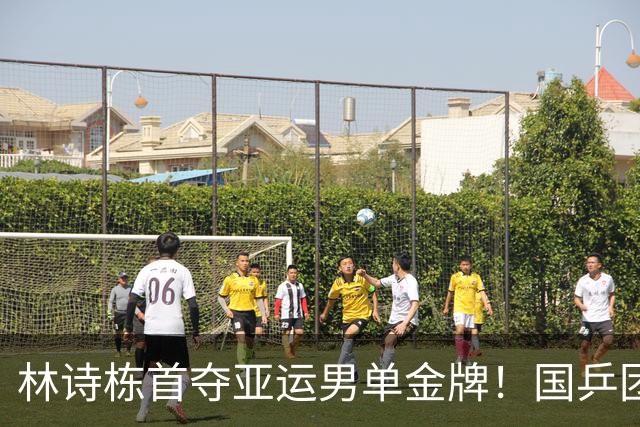 林诗栋首夺亚运男单金牌！国乒团队反应冷淡引发热议